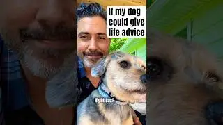 If my dog could give life advice
