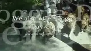 John's Natural DogTraining