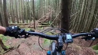 Life Insurance Dunkeld Craigvinean Whyte E180RS eBike enduro trails Scotland GoPro