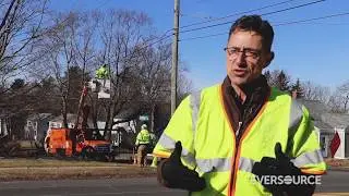 Eversource Investing $83 Million in Tree Trimming Across Connecticut in 2020