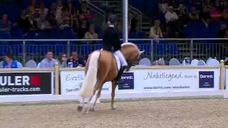 Int. Pfingstturnier Wiesbaden 2015 - Semmieke Rothenberger mit Deinhard B