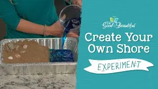 Create Your Own Shore with Tide Pools Experiment | Marine Biology | The Good and the Beautiful