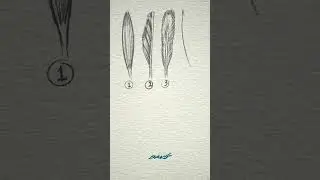 DAVIS LISBOA | ARTISTIC ANATOMY OF THE HUMAN BODY | No. 5