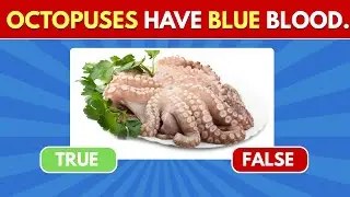 Can You Guess True or False? 🧠🔥 | Fact Quiz | The Quiz Point