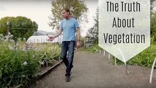 The Truth About Vegetation