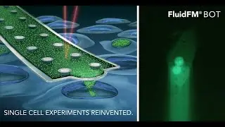 FluidFM Platform Series &ndash; Applications & experimental procedure
