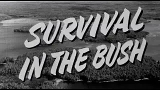Survival in the Bush