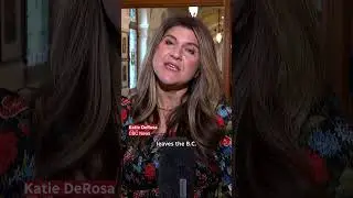 &laquo;Женоненавистничество настолько глубоко&raquo;: ещё один уходящий депутат Законодательного собрания Бри...