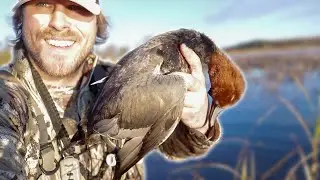 Trying Something NEW | Solo Public Land Duck Hunt