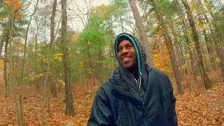🌲 BREATHTAKING SPIRITUAL FOREST WILDERNESS ESCAPE  🙏