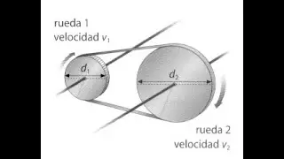 POLEAS POR CORREAS