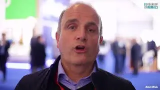 Seafood Expo Global and fish welfare: Friend of the Sea