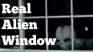 Old School Video Alien Grey Peaking Through Window
