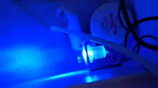 Diy livewell light
