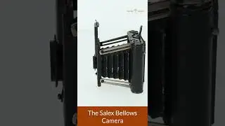 Salex Bellows Camera: Compact Folding Design from the Early 20th Century