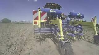 In-Row Cultivation in Corn - That is fast 🤩