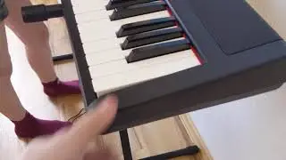 Thomann SP-320 Piano Пианино для путешественниковThomann SP-320
