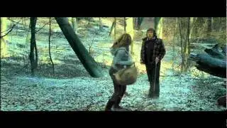 Goodbye - Harry Potter