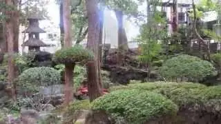 宇喜世の庭