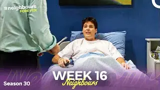 WEEK 16 | Episodes 6866-6870 | Neighbours 2014 (Season 30)