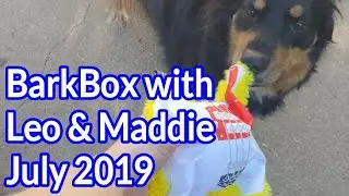 BarkBox Unboxing with Leo and Maddie - July 2019 - Extra Toy Club