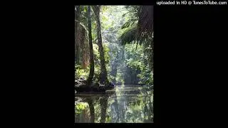 (free) kashdami + 1600j + dreamplugg type beat 