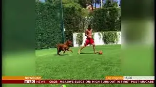Lionel Messi playing with his dog 'Hulk' - BBC News - 31st July 2018