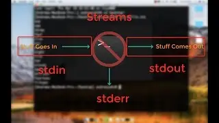 Unix for Neuroimagers #3: head, tail, and redirection