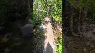 Over the river and through the woods  🏞🚶&zwj;♂️🌲🌤 #hiking #trekking #backpacking #trailviews #norcal