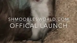 shmooblesworld.com official launch trailer