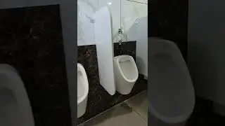 amazing urinal port