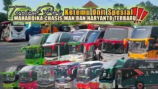 GAK NYANGKA KETEMU BUS INI‼️ MAHARDIKA CHASIS MAN DAN HARYANTO BUS TERBARUNYA 