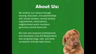Search pets , Lost Pets Finder,  How to find a lost pet