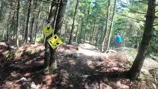 MacKay Skyway Trail (Rock Drop Section) - Rockwood Park - Saint John NB