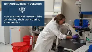 Britannica Insights:  How are medical research labs continuing their work during a pandemic?