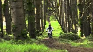 Colin Ross - Rosco Lines tree crash