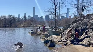 Relaxing Nature Walk 4k - One Of The Best Parks In The World