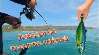 Риболов на пролетен сафрид пред Галата, Варна