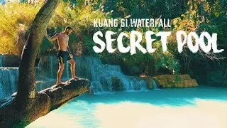 Kuang Si Falls - Find the SECRET POOL  🇱🇦 LAOS Travel