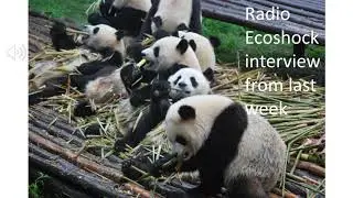 Radio Ecoshock interview
