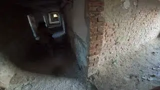 Влезнаха хрътки в 10та сграда 