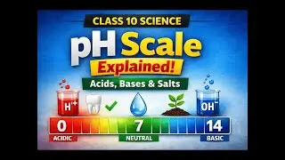 PH Scale | Acids Bases and Salts | Part -2 | Class 10 Science | CBSE Boards