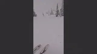 Ski Therapy - Flow State - Ski Sesh In The Powder Forest #ski #skiing #powder
