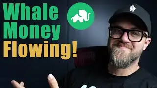 Whale Money Flowing into Blue Chips - TRUNK up 7%