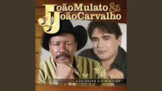 Vira Volta