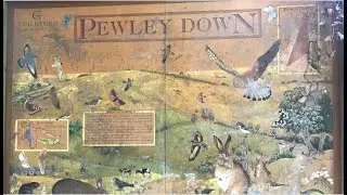 Pewley Down Nature Sign
