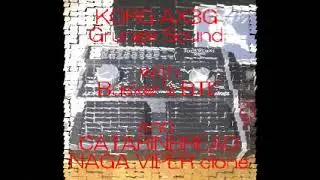 KORG AX3G Grunge Sound with Buskers BTE and CATARINBREAD　NAGA VIPER (Range Master) clone