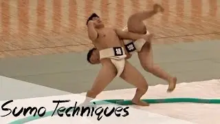 SUMO Fighting techniques