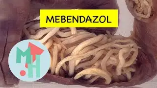 MEBENDAZOL: Antihelm&iacute;ntico