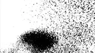 VIRTUAL MURMURATION by Javier Mu&ntilde;oz-Bravo, Lucas Lejeune and John Mirabel
